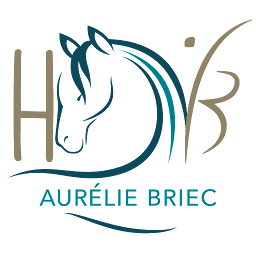 Photo n°19 de Aurélie Briec enseignante d’equitation à Castelnau-de-Médoc (Club d'équitation)
