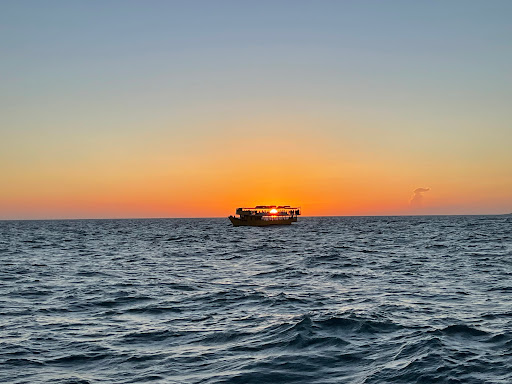 Barco Intrepid - Visual