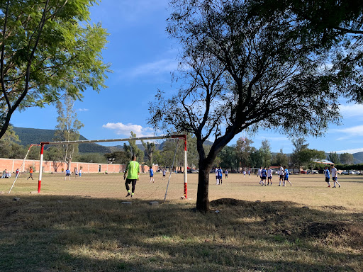 Campo Deportivo De El Acebuche - Thumbnail
