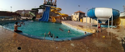 Photos of مسبح قصر النخيل