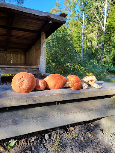 Maderna Vindskydd Gallery - Sweden