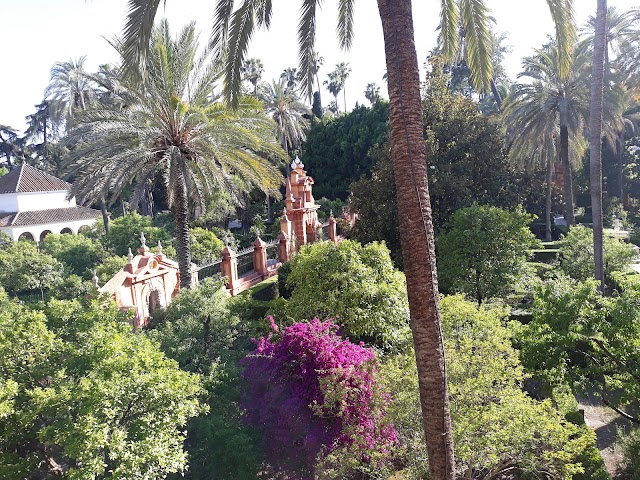 Sevillarte