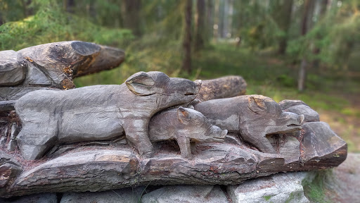 Walderlebnispfad Waldnaabaue