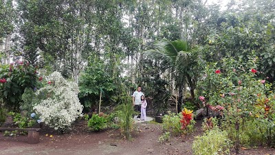 Photos of Palmeras del Ecudor S.A. - Oficinas Plantaci&oacute;n