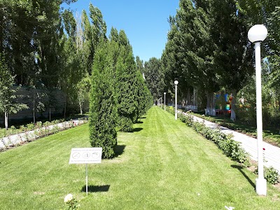 Photos of Sol Del'fin