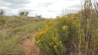 Salt Creek Wilderness