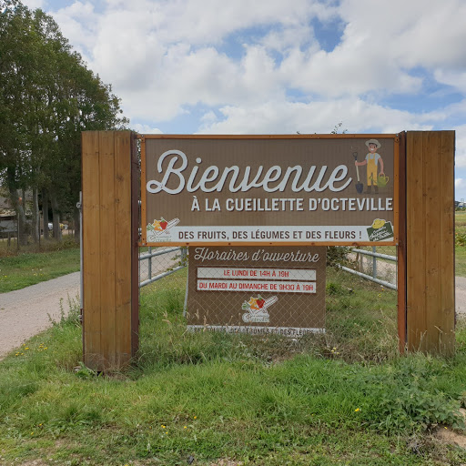 Cueillette et Boutique d'Octeville- Ferme - Thumbnail