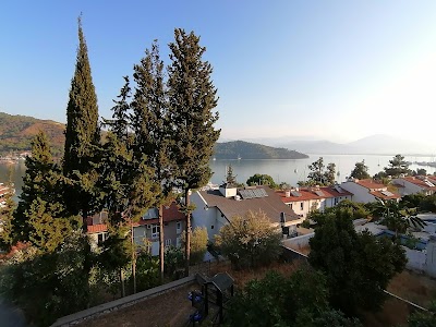 Duygu Pension