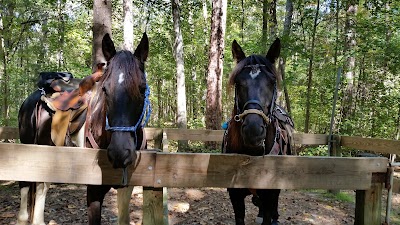 Woods Ferry Recreation Area