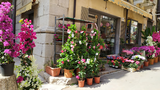 Taoflora di Antonello Cacciola - Thumbnail