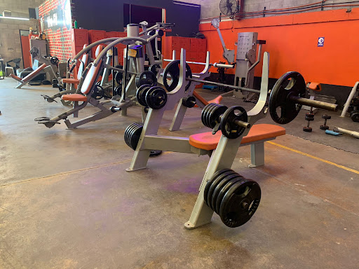Mental fitness Gym Gallery - Mexico