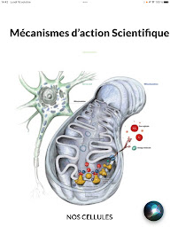Photo n°10 de La Lumière Essentielle à Ducey-Les Chéris (Centre de bien-être)
