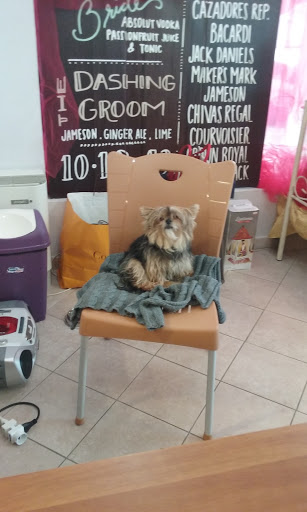 Bruschi Borgotaro Srl
