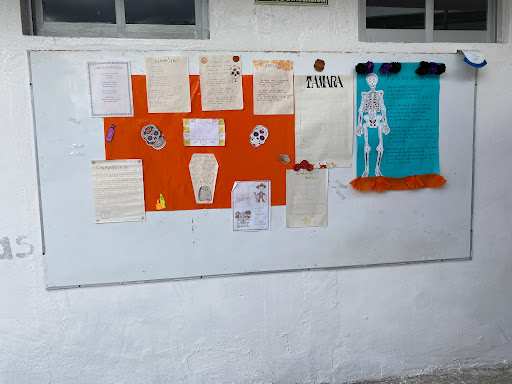COLEGIO HOLÍSTICO DE MÉXICO, A. C. - Thumbnail