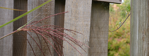 Photo de LES JARDINS DE LA DIVATTE à Barbechat (44450)