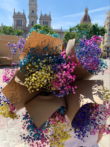 Suviflor - Visual
