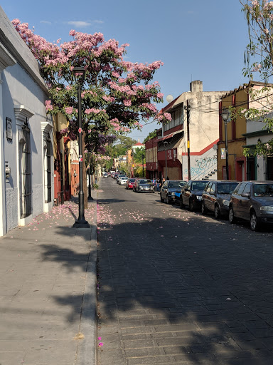 TALLER GRAFICO DE OAXACA - Thumbnail