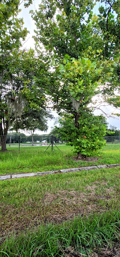 Susan Street Complex - Visual