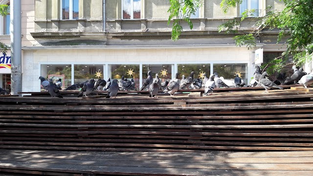 Britanski Trg Market