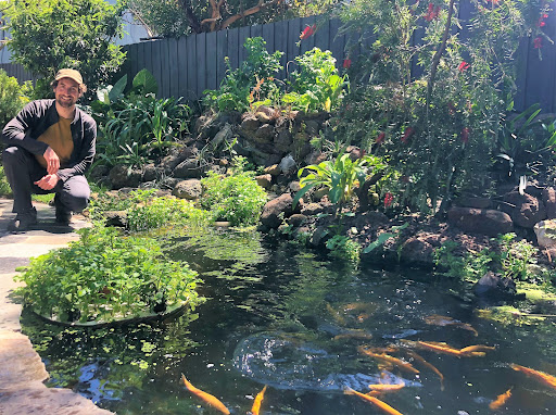 Photo de Elagage - Bassins - Piscines de Biodiversité à Audincourt (25400)