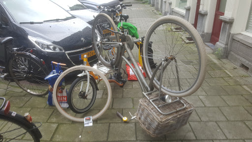 Alex Bikes & Bike rental - Thumbnail