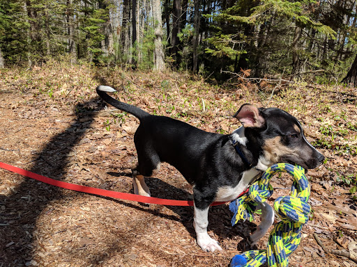 Jennie & Isaac E. Willey Recreation Area