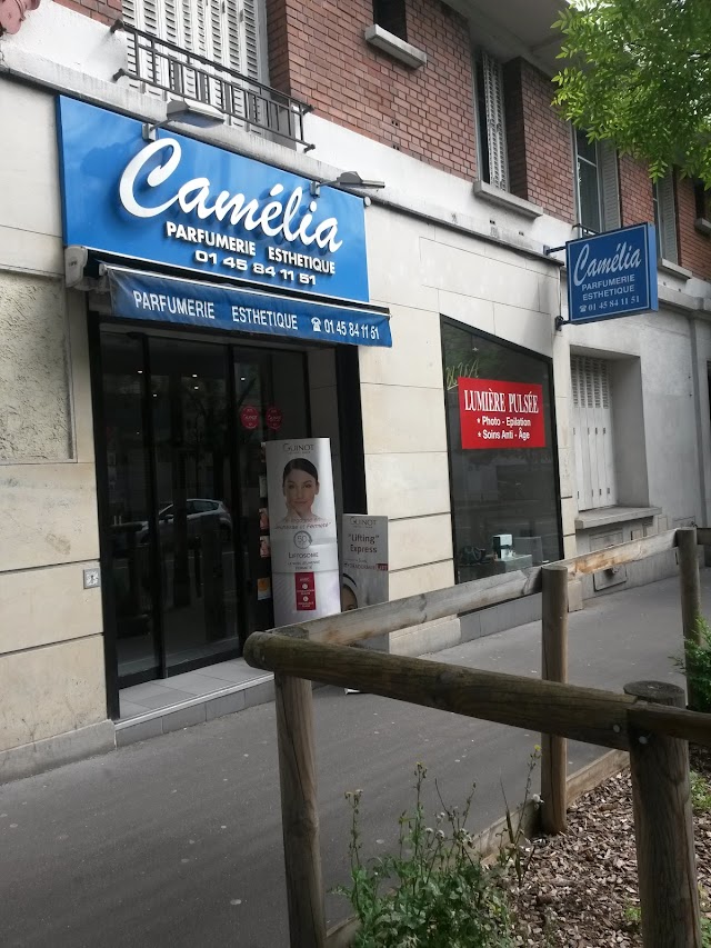 Beauté Camelia