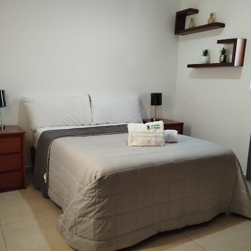 Ananas apartment - Visual