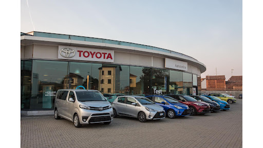 Officina Toyota, Toyota Professional, Hyundai | Gruppo Autotorino SpA
