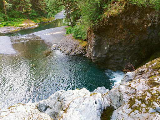 Wynoochee Falls - Thumbnail