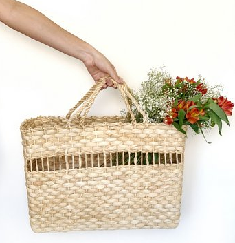 Fitot?nea (Abdala Cestas)