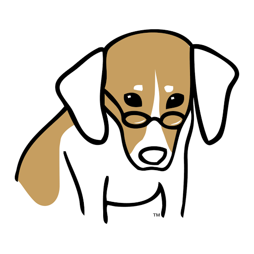 Beagle Brain - Visual