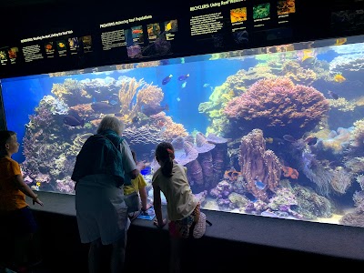 Waikīkī Aquarium