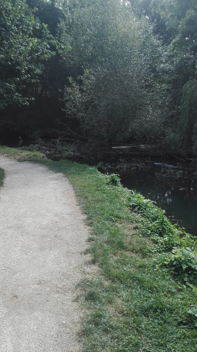 Jardins Des Marais De Bourges