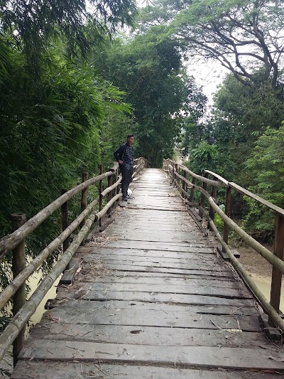 Photos of Pabrik Minyak Kayu Putih (PMKP) Krai