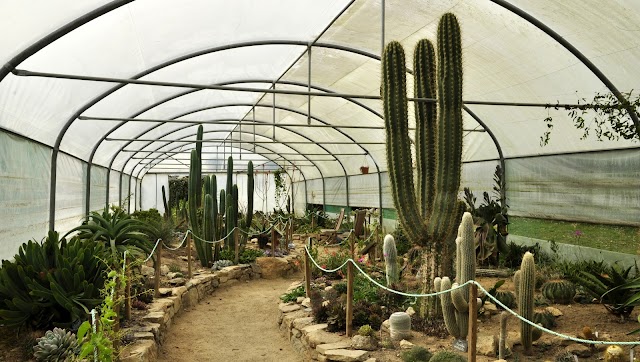 Le Jardin Exotique de Roscoff