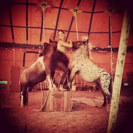 Theater Equestrian Des Utopies - Thumbnail