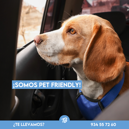 Taxi Blau - Thumbnail