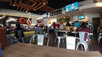 Photos of Tajima Japanese Restaurant