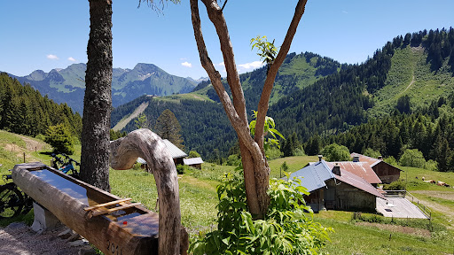 Alpesvente Saint Jean d’Aulps : Immobilier en Haute Savoie, Portes du Soleil - Thumbnail
