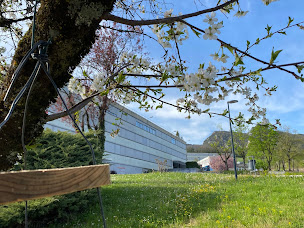 Photo n°2 de Lycée Général & Collège Victor Considerant à Salins-les-Bains (Établissement d'enseignement secondaire)
