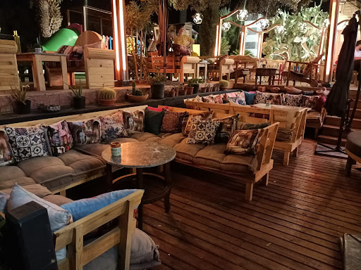 Woodruum çiçek cafe