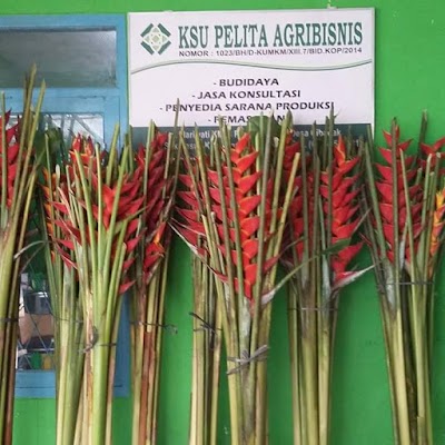 Photos of Grosir Bunga Potong