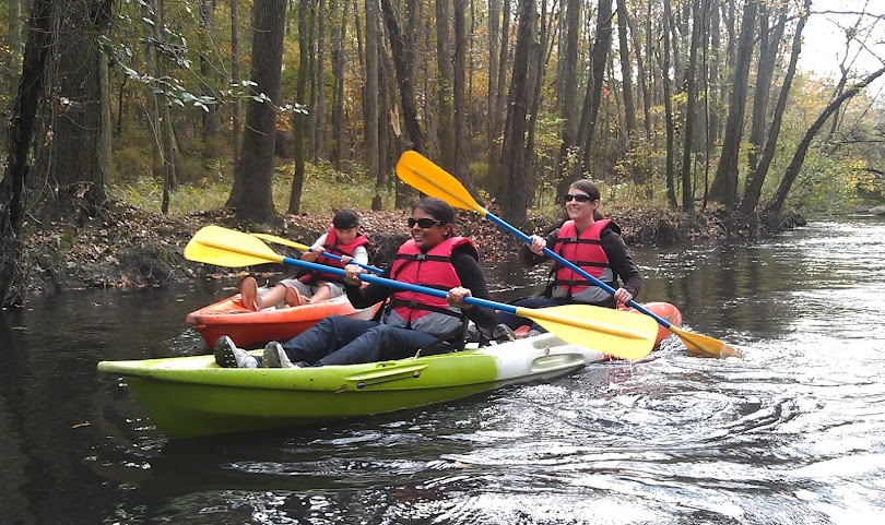 Palmetto Outdoor by null