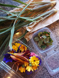 Photo n°34 de CouleurCafé Saint-Malo à Saint-Malo (Restaurant végétarien)