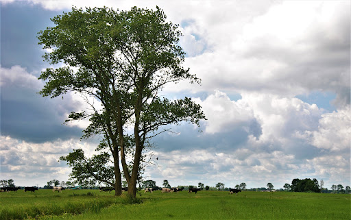 Boerenwandelpad Boterwal - Thumbnail