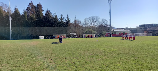 Bar al Campo - Thumbnail