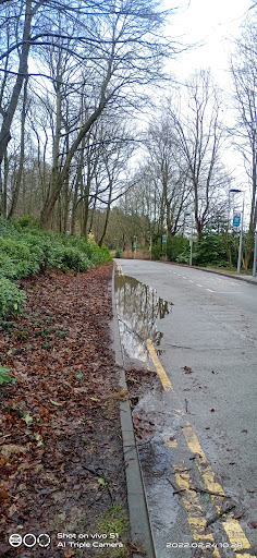 Storthes Hall Park University Campus - Thumbnail