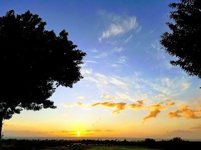 Hawaii Small Business Development Center -Maui