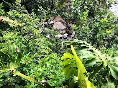 Iao Valley